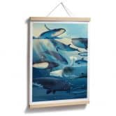 Poster Braun - Whales 