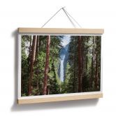 Poster Colombo - Wasserfall im Wald 
