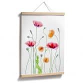 Poster Bunte Mohnblumen - Disher 