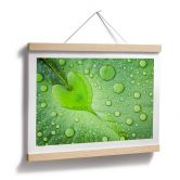 Poster Hart van Regen 