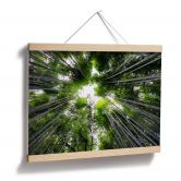 Poster Hugonnard - Wald in Japan 