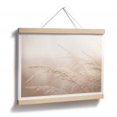 Poster Im Morgenlicht 