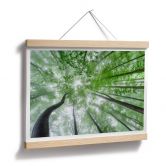 Poster Pavlasek - Grüne Baumkronen 