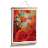 Poster Schmucker - Mohntraum 