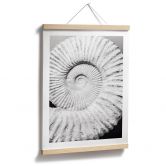 Poster Fossile Muschel - Shot by Clint 