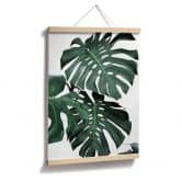 Plakat - Sisi & Seb - Monstera 