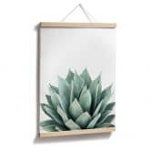 Poster Sisi & Seb - Succulente 