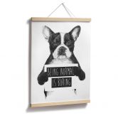 Poster Solti - Being normal is boring 