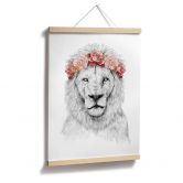 Plakat - Solti - Festival Lion 