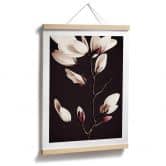 Poster Edle Magnolienblüten - Blumenposter - Treechild 
