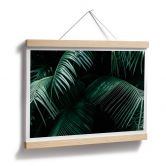 Poster Botanique tropicale 