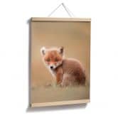 Plakat - van Duijn - Baby fox 