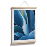 Poster Wechsler - Pflanzen Stillleben Agave 