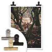 Poster Pause im Wald 