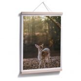 Poster Fawn 
