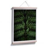 Poster Botanical 02  