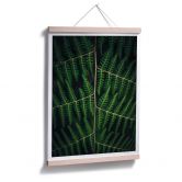 Poster Botanical 03 