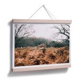 Poster Im Wald 