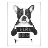 Poster Solti - Being normal is boring 