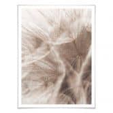 Poster Zarte Pusteblume 