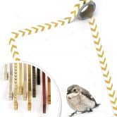 Poster Kleiner Spatz 